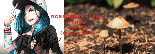 a pvp Абаза