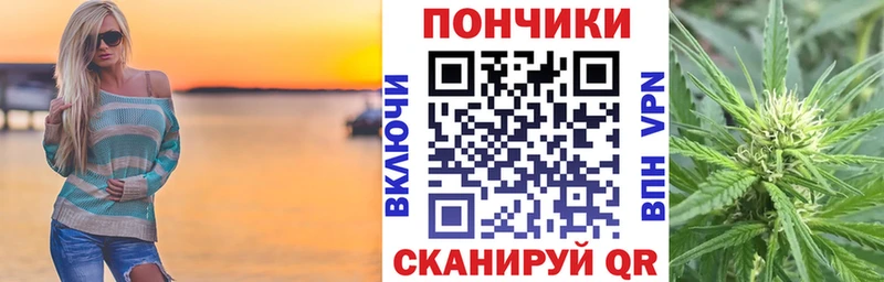 дарнет шоп  Красавино  Бошки Шишки сатива 